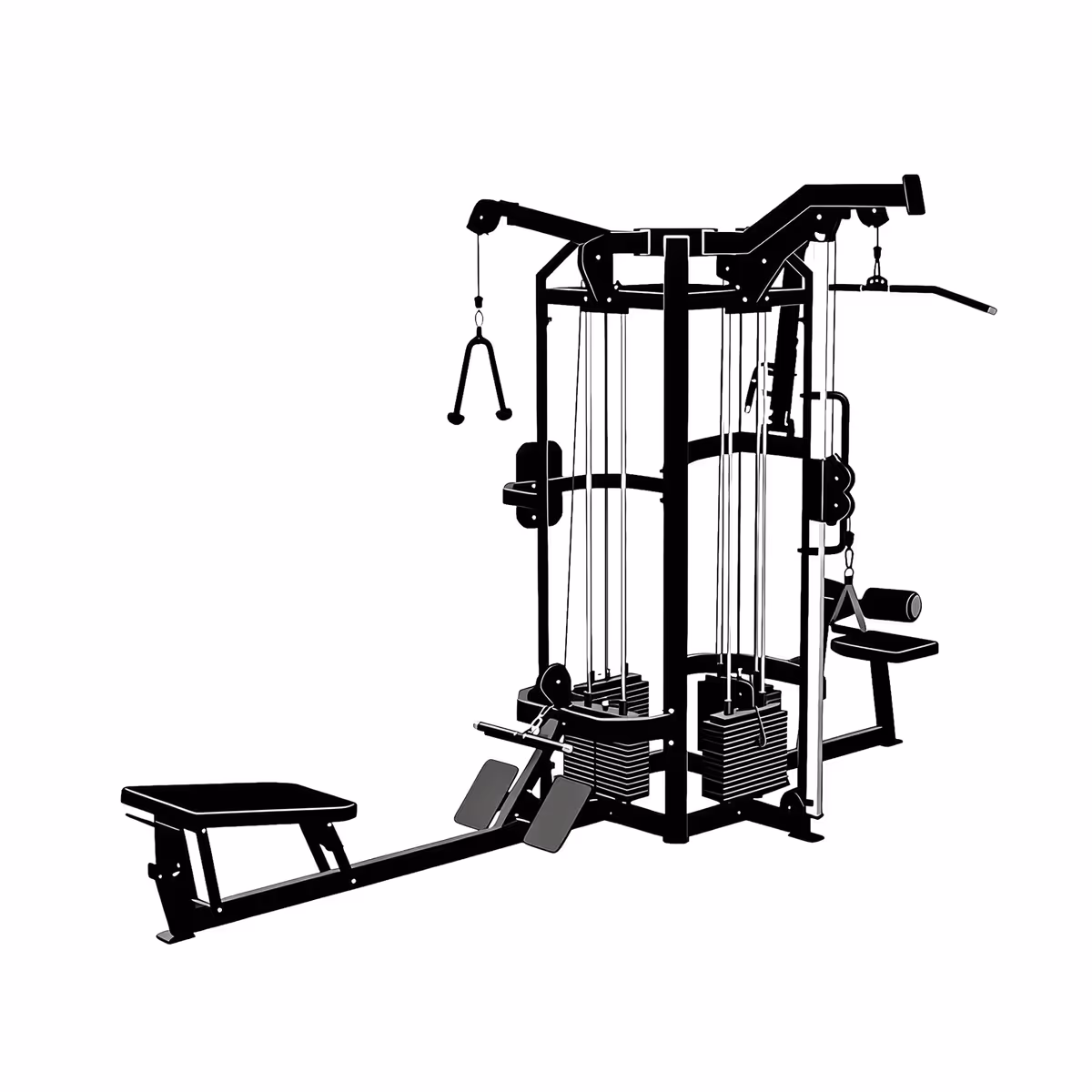 Multi Gym