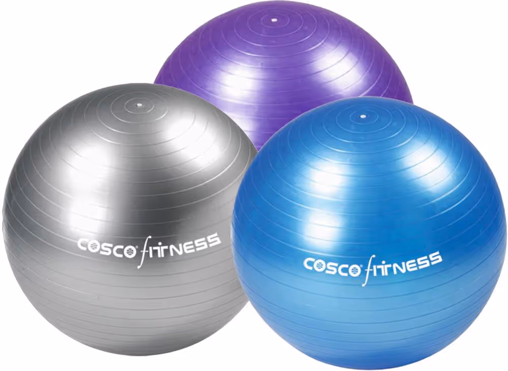Cosco Gym Ball