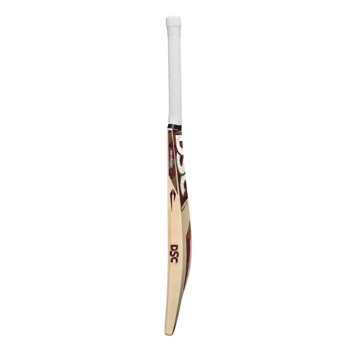DSC Condor Blitzer Cricket Bat