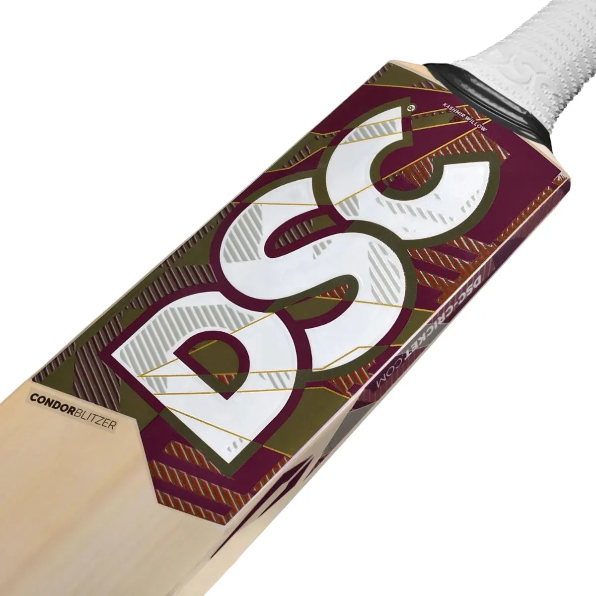 DSC Condor Blitzer Cricket Bat