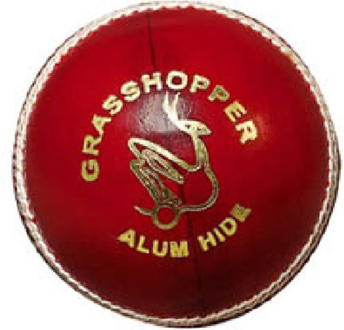 Grasshopper Club Man Cricket Leather Ball