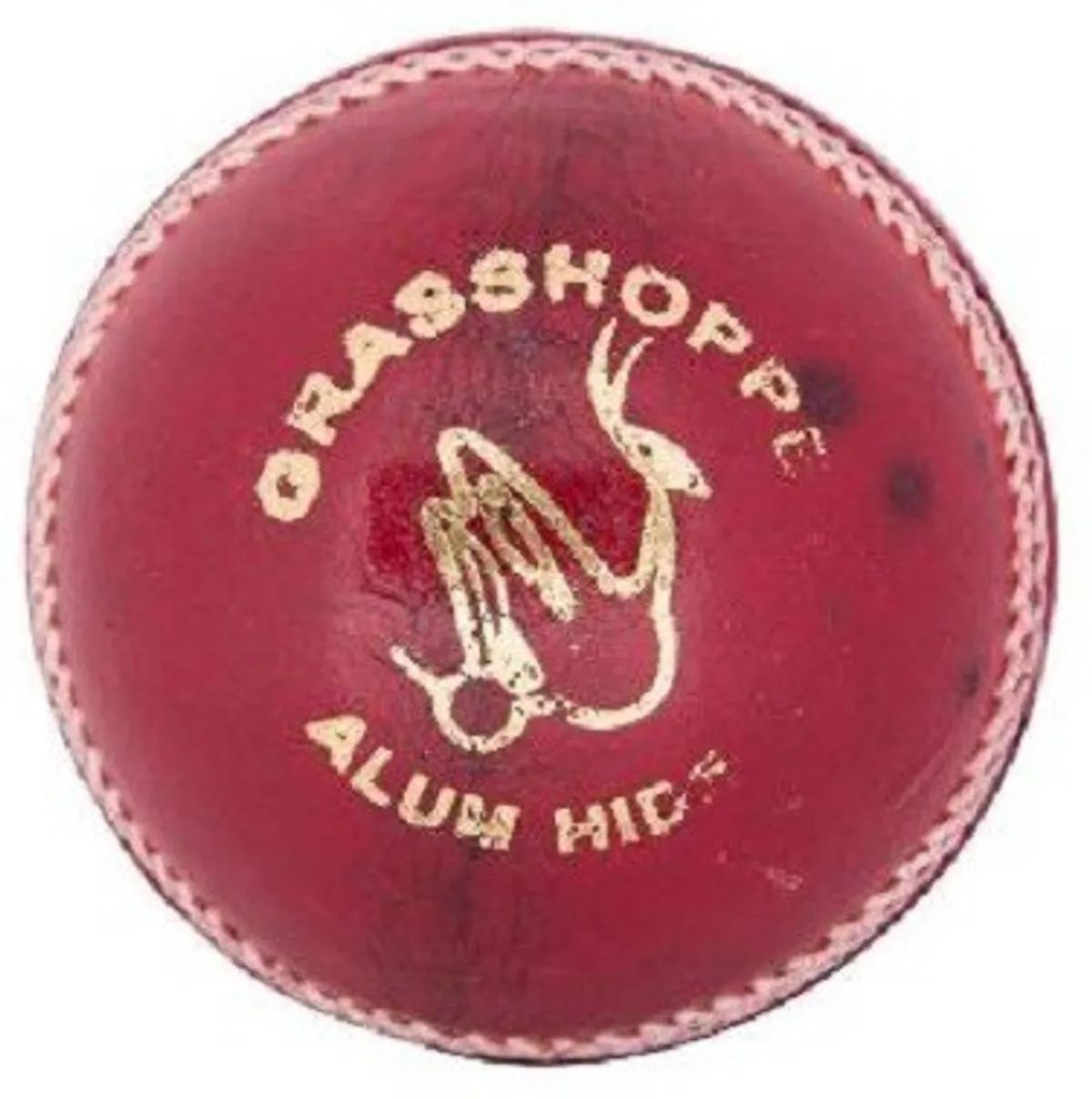 Grasshopper Club Man Cricket Leather Ball