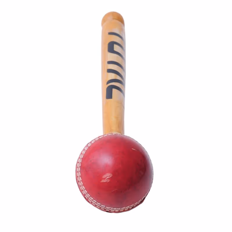 Total Ball Mallet Knocking Tool