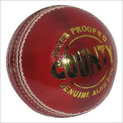 Wisden County Cricket Leather Ball
