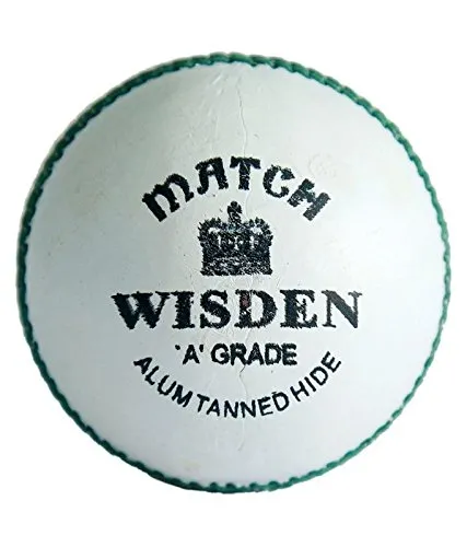 Wisden Match Special Cricket Ball White
