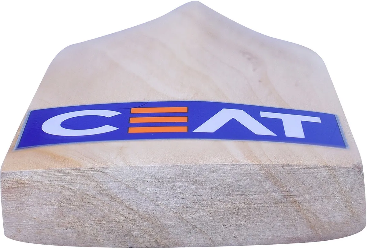 CEAT First Class Kashmir Willow Cricket Bat Short Handle