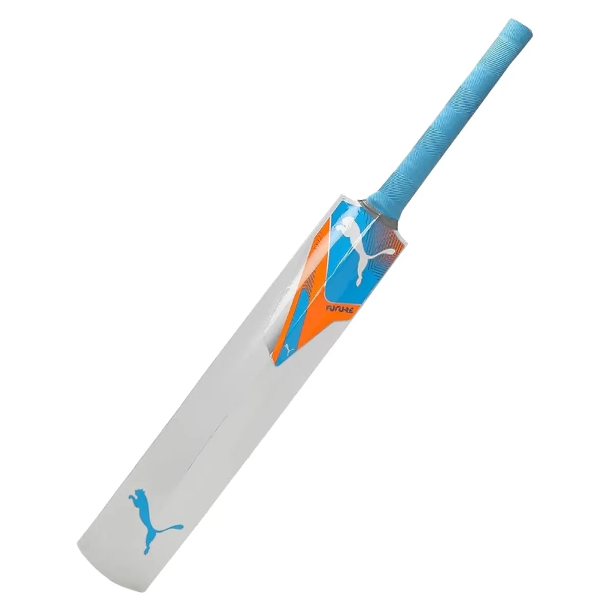 Puma Future STB Cricket Bat