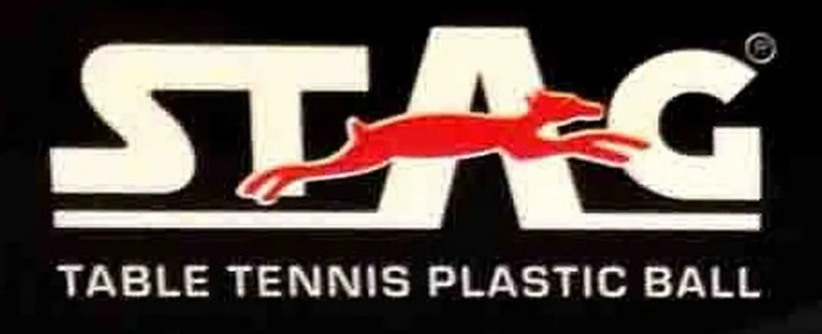 Stag 2 Star Table Tennis Ball Pack of 12 2 Star
