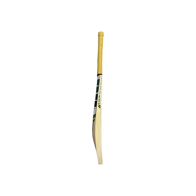 SS Sky Thunder Kashmir Willow Cricket Bat Short Handle