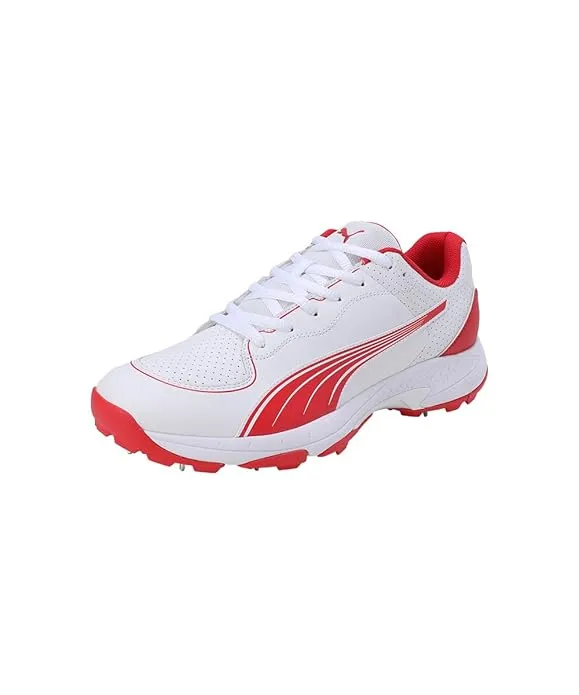 PUMA Spike 24.2 Cricket Shoes