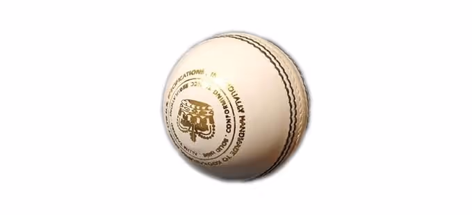 Kookaburra Pace Cricket Leather Ball