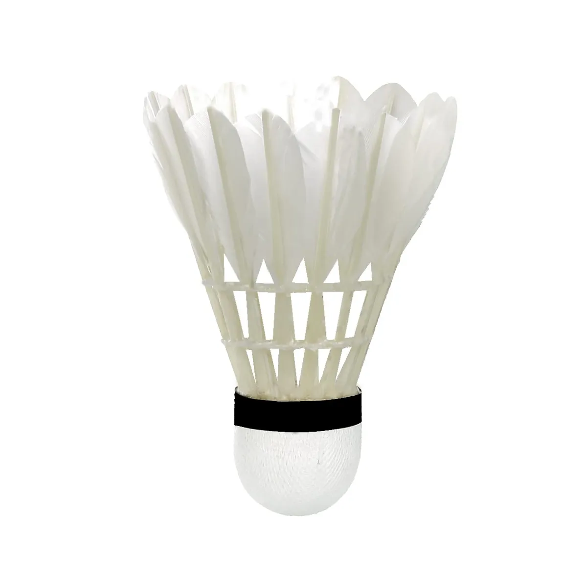Transform TF-100 Badminton Feather Shuttlecock Speed 77 White Pack of 12