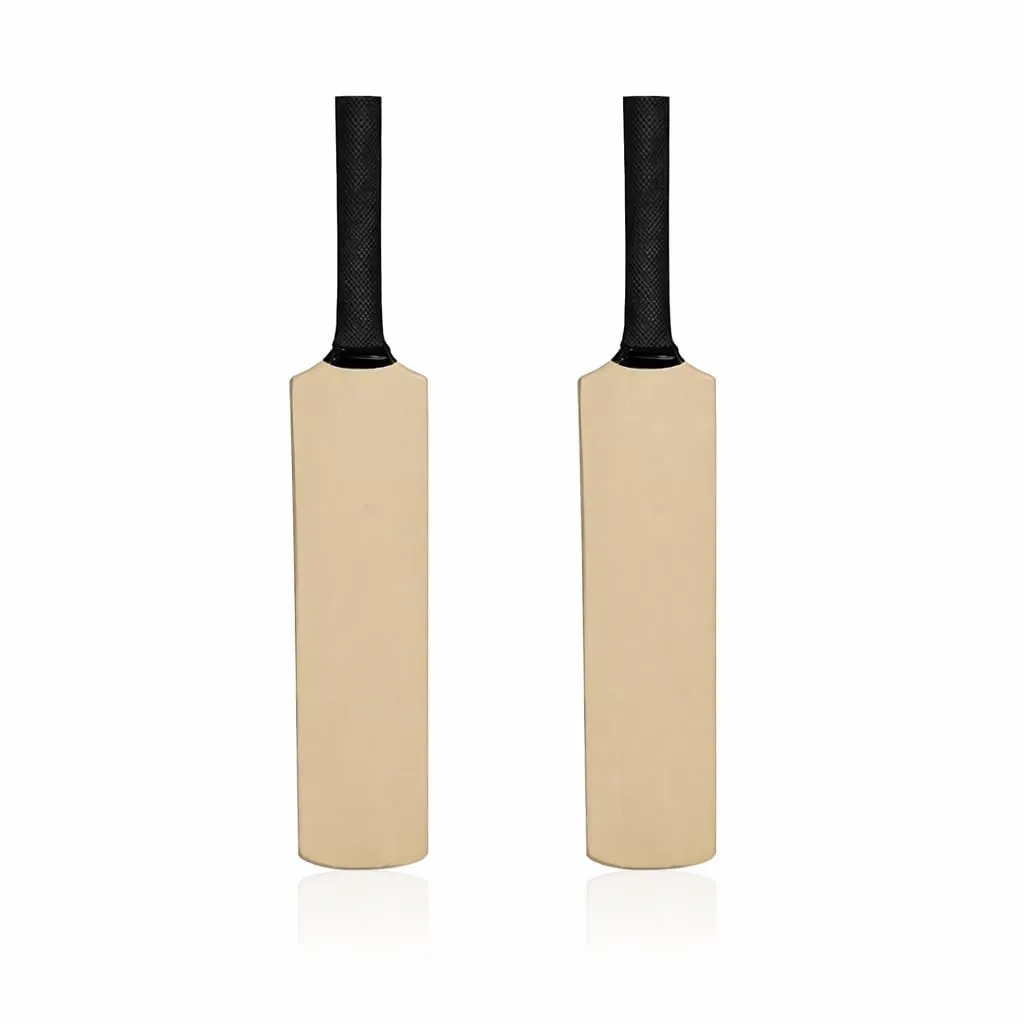 ACE Mini Cricket Autograph Bat 15 Inch Wooden