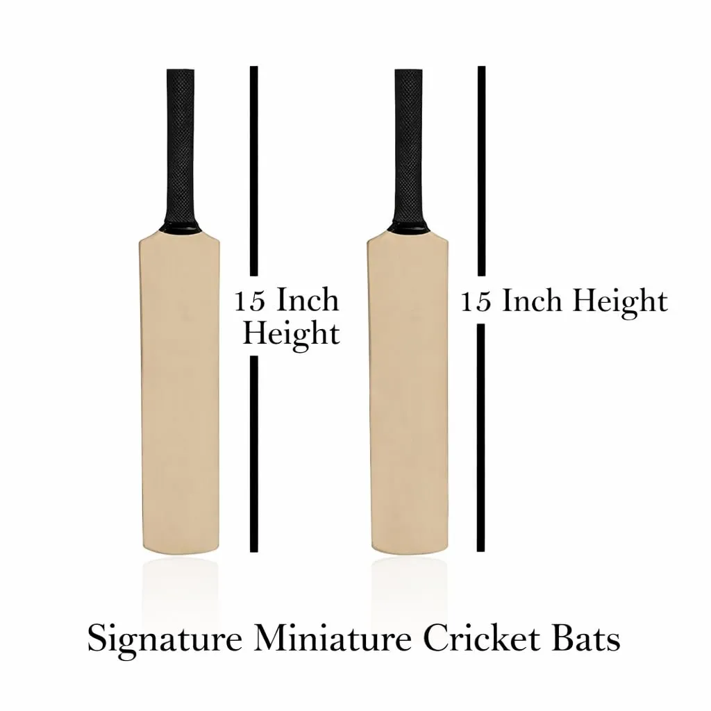 ACE Mini Cricket Autograph Bat 15 Inch Wooden
